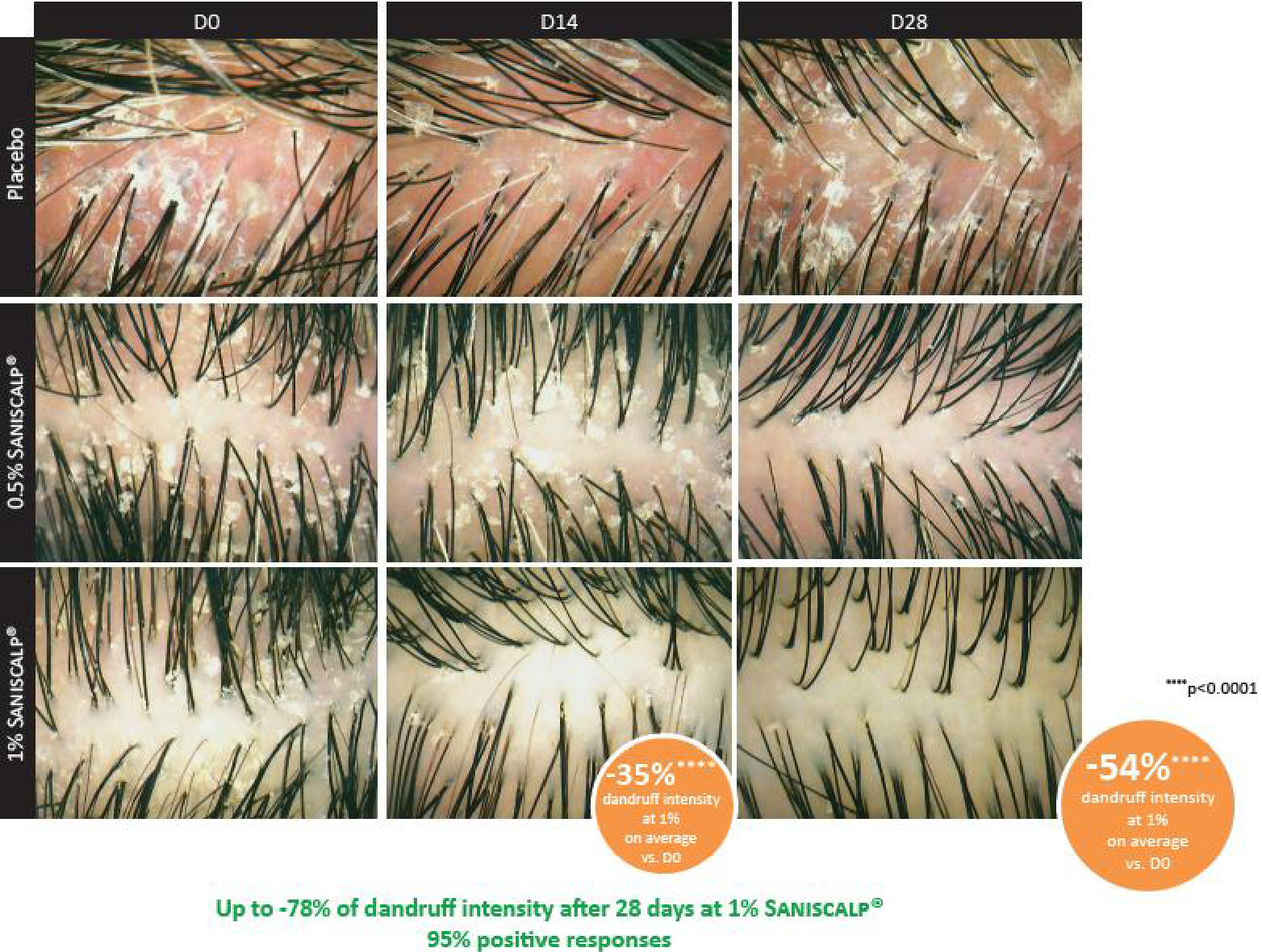 png 11 trb001 biorism report hairspa (4)