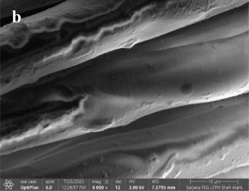 png 1trb001 biorism report hairspa (4)