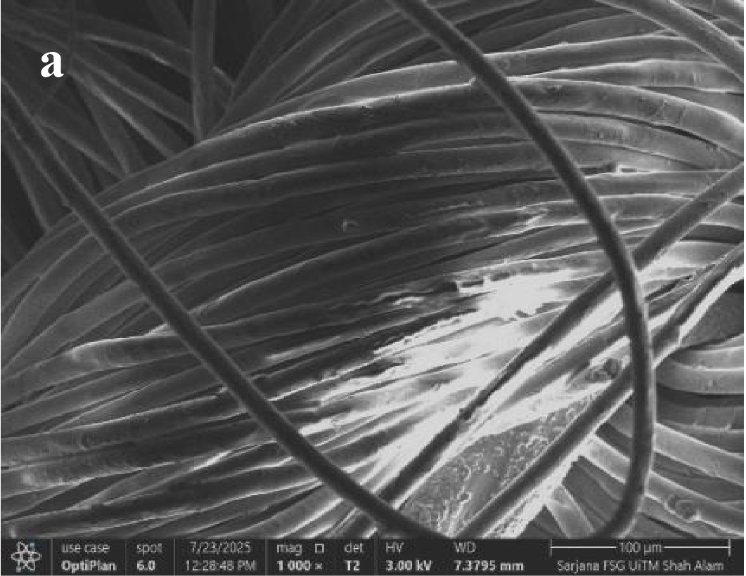 png 2 trb001 biorism report hairspa (4)