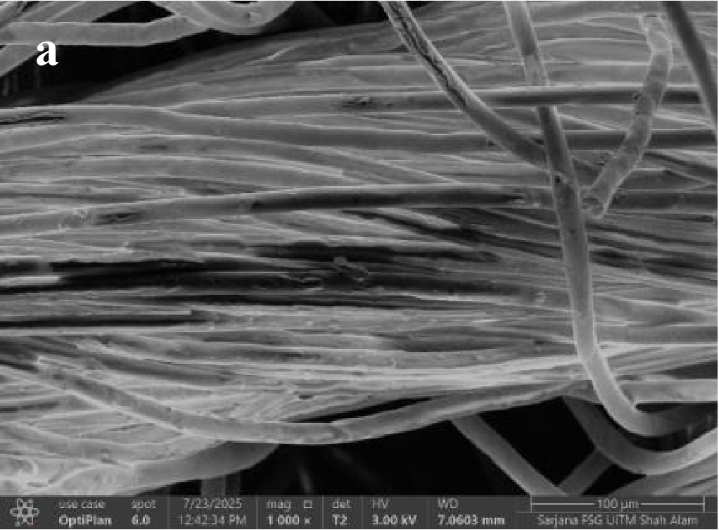 png 3 trb001 biorism report hairspa (4)