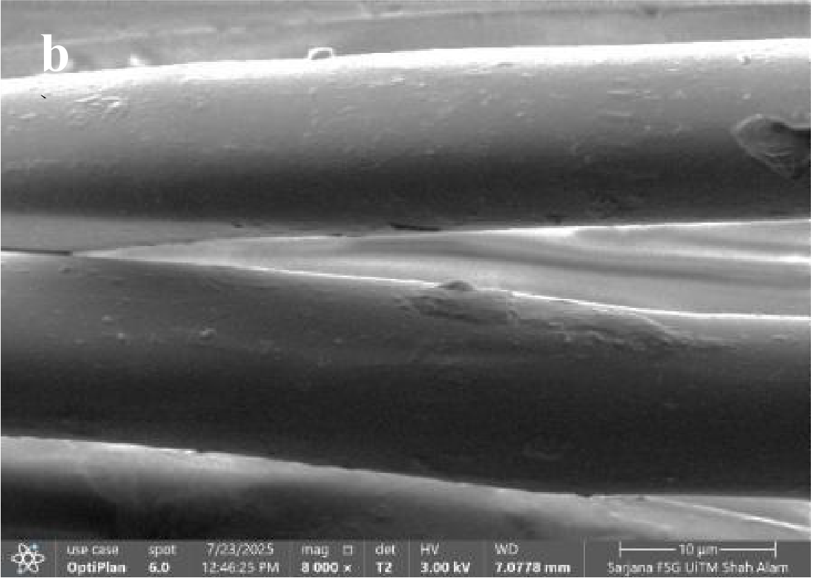 png 4 trb001 biorism report hairspa (4)