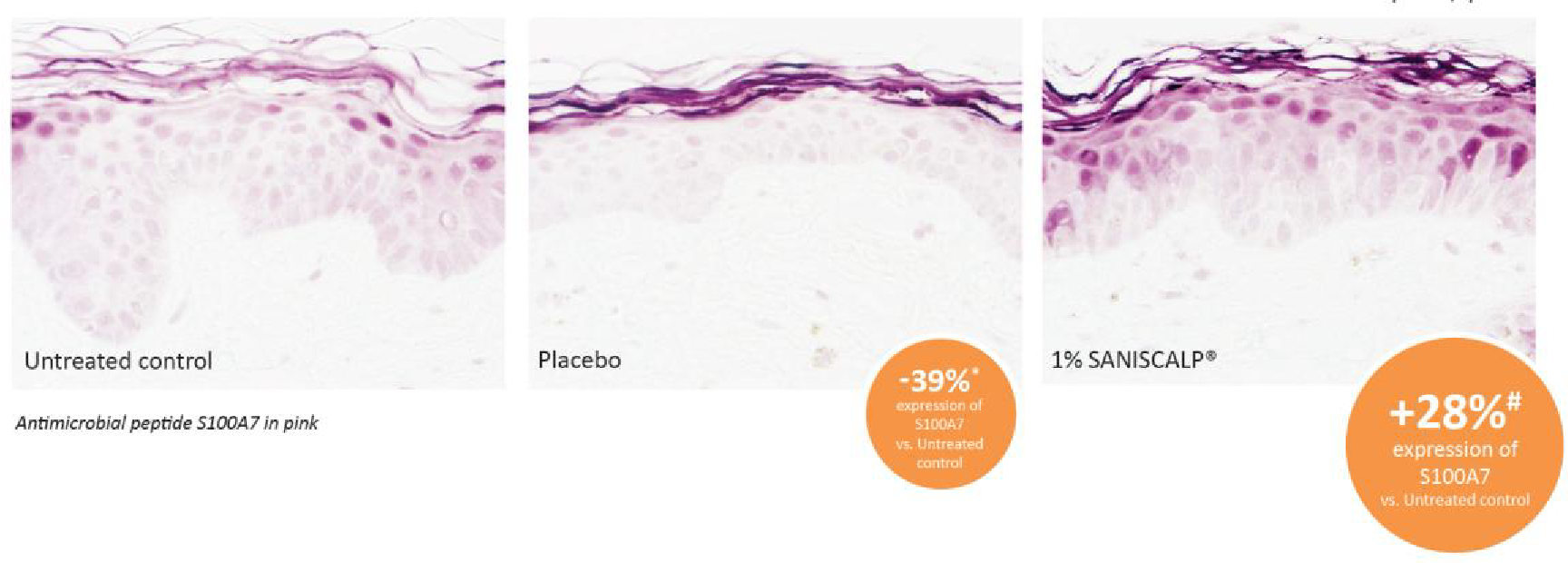 png 9 trb001 biorism report hairspa (4)