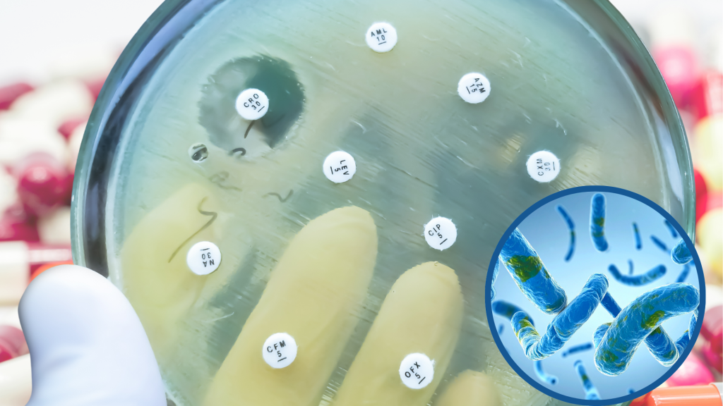 10 million people worldwide have active tb ~ the infectious form of tuberculosis (23)