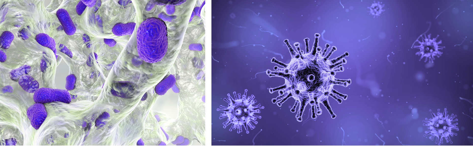 untitled design 2026 01 05t125721.417