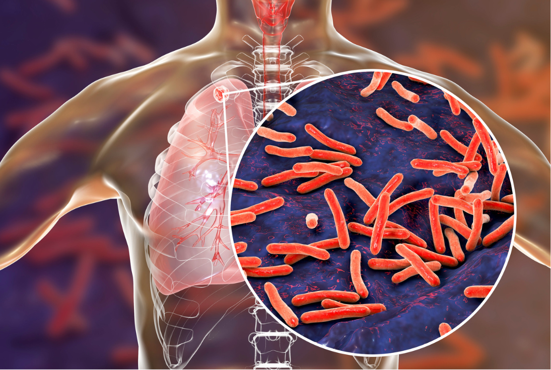 untitled design 2026 01 05t130518.021