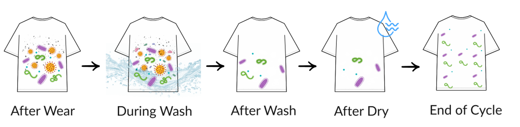 (a) skin microorganisms attach to fibres (1)