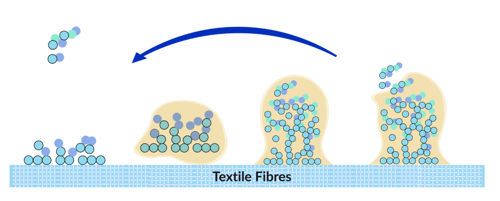 (a) skin microorganisms attach to fibres (3)