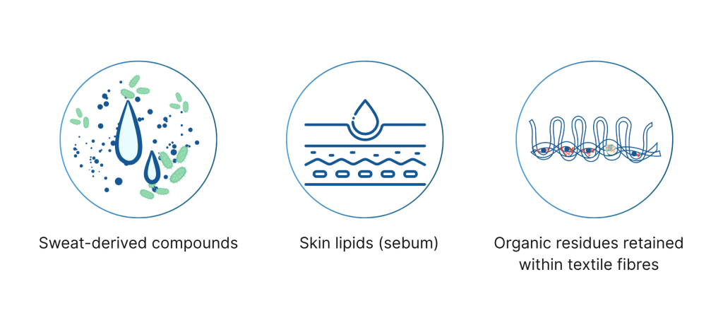 (a) skin microorganisms attach to fibres (8)