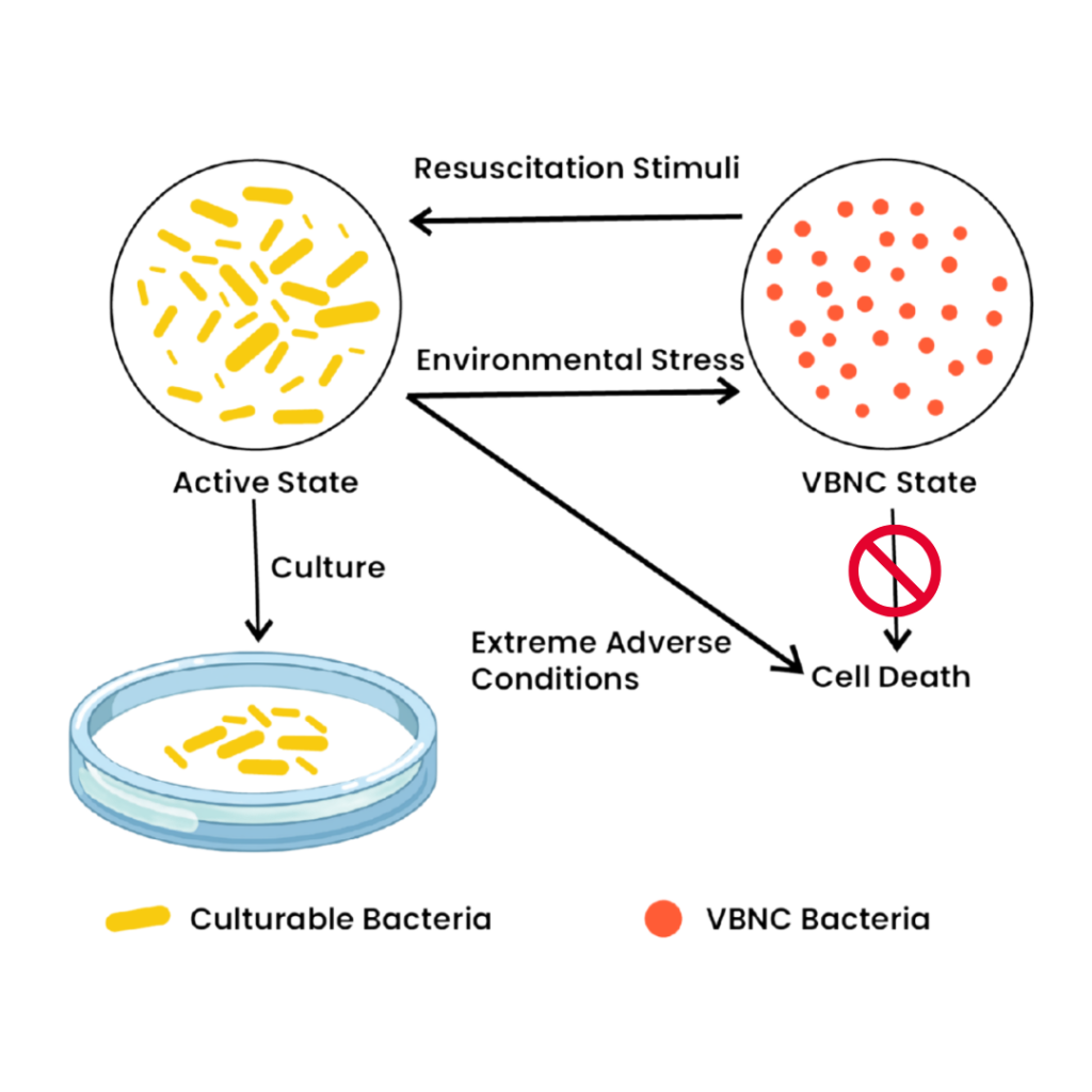 legionella spp. (12)