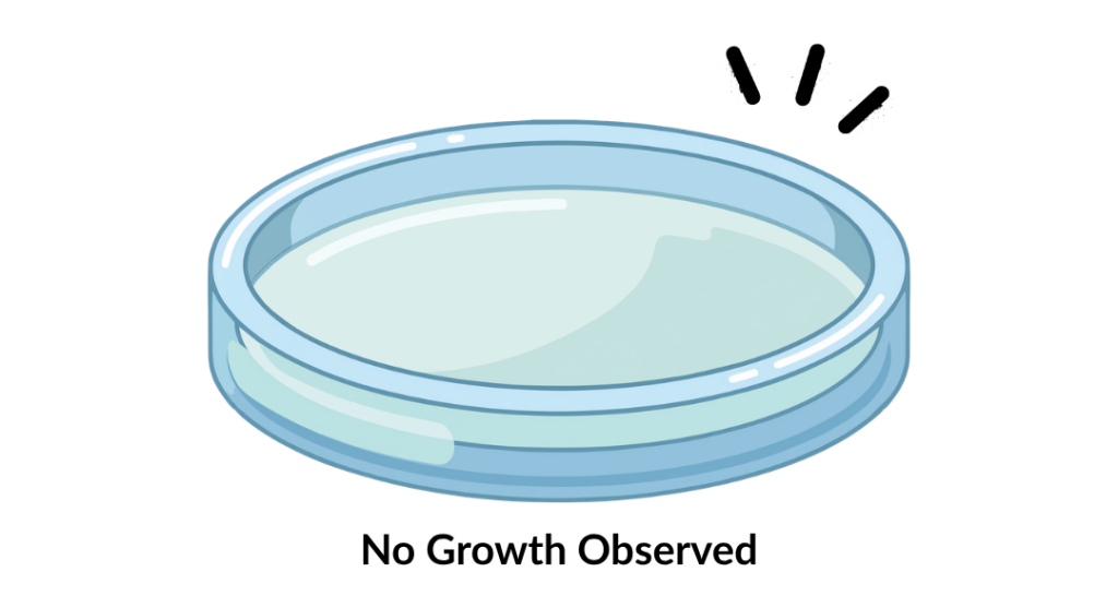 legionella spp. (13)
