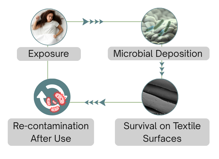 untitled design 2026 10 15t115818.529
