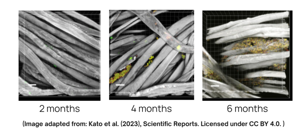 untitled design 2026 10 15t142819.580